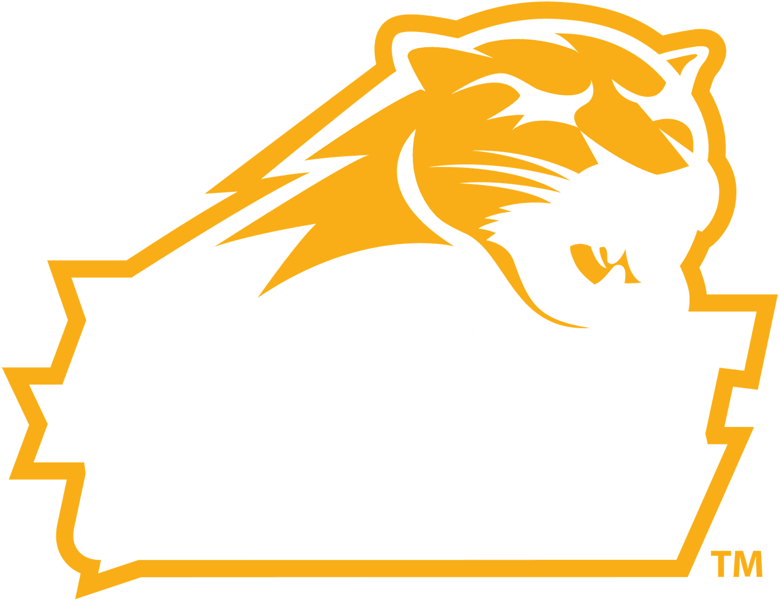 Averett University