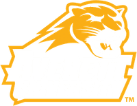 Averett University banner logo