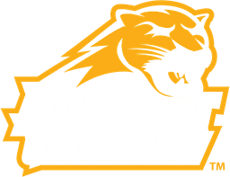 Averett University banner logo
