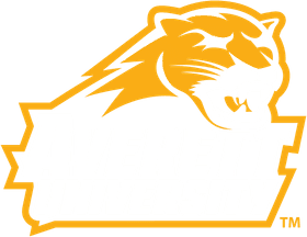 Averett University banner logo