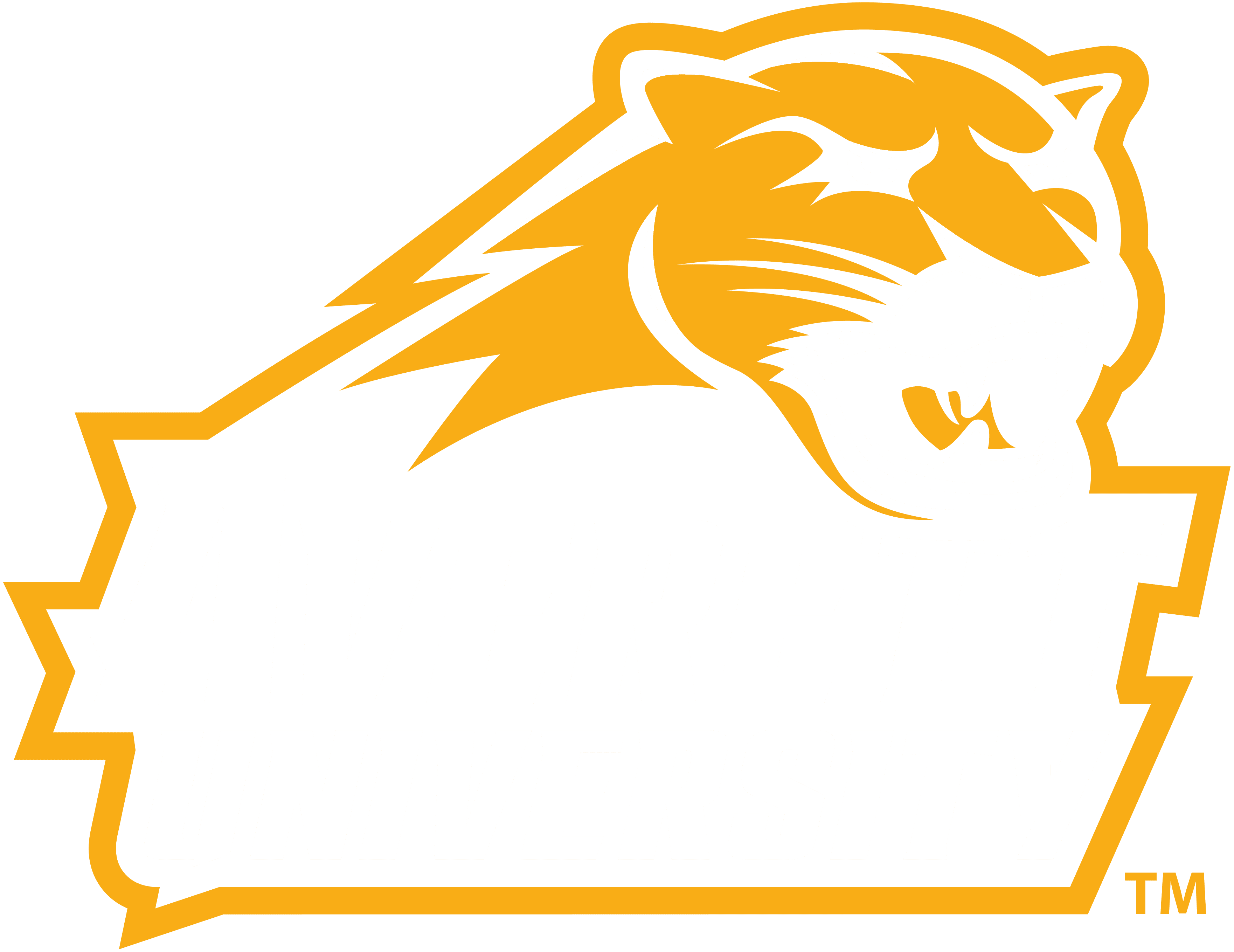 Averett University